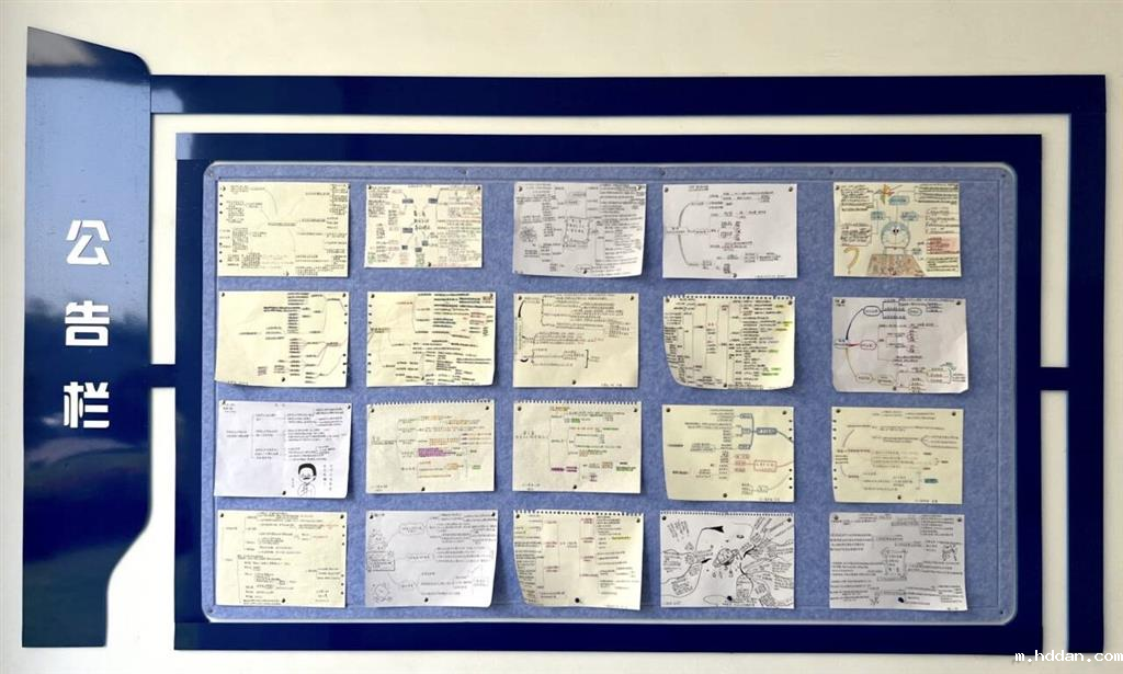 学生作品公告栏展览(2).png 学生作品公告栏展览(2).png