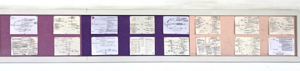 学生作品公告栏展览(3).png 学生作品公告栏展览(3).png